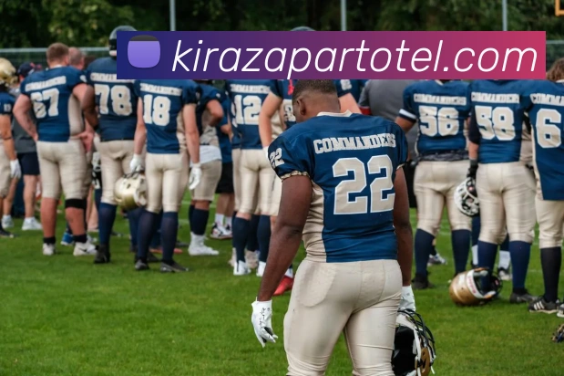 奖项证书